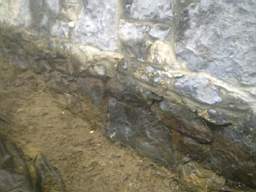 Carrowmore  10375.jpg